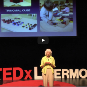 Woman talking at ted talks on display